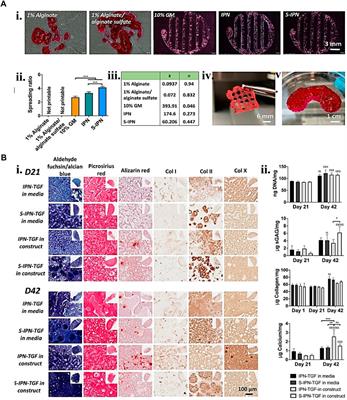 Bioprinting of gelatin-based materials for orthopedic application